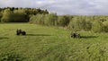 Green summer field .Clip.A view from a drone for a walk with quads riding on a bright day field near a forest.