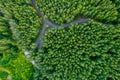 Green summer forest and asphalt road drone view Royalty Free Stock Photo