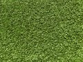 Green summer grass abstract background Royalty Free Stock Photo