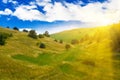 Green summer landscape Royalty Free Stock Photo