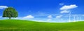 Green summer landscape scenic view wallpaper. Beautiful wallpaper. Solitary tree on grassy hill and blue sky with clouds. Royalty Free Stock Photo