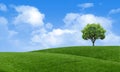 Green summer landscape scenic view wallpaper. Solitary tree on grassy hill and blue sky with clouds. Lonely tree springtime. Royalty Free Stock Photo