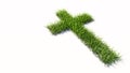 Green summer lawn grass isolated on white background, sign of religious christian cross. A 3d illustration Royalty Free Stock Photo