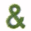 Green summer lawn grass symbol isolated white background, ampersand sign