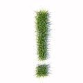 Green summer lawn grass symbol isolated white background, exclamation mark font.