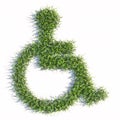 Green summer lawn grass symbol isolated white background, wheel chair sign Royalty Free Stock Photo