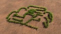 Green summer lawn grass symbol shape on brown soil or earth background, sign of a formula one car Royalty Free Stock Photo