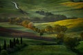 Green summer meadow landscape. Summer in the fields. Idyllic view of hilly farmland in Tuscany in beautiful morning light, Italy.