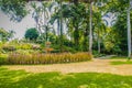 Green summer public park garden with blue sky in the cloudy day. Beautiful day light in public park with green grass field and fre Royalty Free Stock Photo