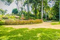 Green summer public park garden with blue sky in the cloudy day. Beautiful day light in public park with green grass field and fre Royalty Free Stock Photo