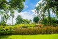 Green summer public park garden with blue sky in the cloudy day. Beautiful day light in public park with green grass field and fre Royalty Free Stock Photo