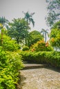 Green summer public park garden with stairs step to blue sky in the cloudy day. Beautiful day light in public park with staircase Royalty Free Stock Photo