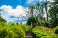 Green summer public park garden with stairs step to blue sky in the cloudy day. Beautiful day light in public park with staircase Royalty Free Stock Photo