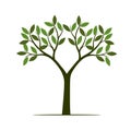 Green summer Tree. Vector Illustration.