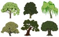 Green summer trees set. Oak, chestnut, willow, hornbeam, beech, ash.