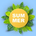 Green summer tropical background with exotic leaves