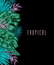 Green summer tropical background with exotic palm leaves and plants. Vector floral background. Royalty Free Stock Photo