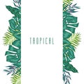 Green summer tropical background with exotic palm leaves and plants. Vector floral background. Royalty Free Stock Photo