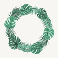 Green summer tropical leaves border frame wreath