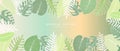 Green summer vector tropical gradient background with palm leaves, monstera and fern. Background for text and photos, decor and Royalty Free Stock Photo