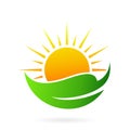 Green sun leaf logo design template Royalty Free Stock Photo