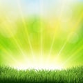 Green Sunburst Background With Green Grass And Sunburst Royalty Free Stock Photo