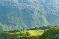 Green sunny alpine valley in the mountains