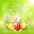 Green sunny background with Easter eggs and rabbit ears in grass Royalty Free Stock Photo