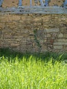 Green sunny grass and old stone wall