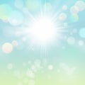 Green Sunny Nature Abstract Background with Bokeh Royalty Free Stock Photo