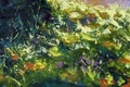 Green sunny summer warm tree branches grass - abstract impressionism art fragment