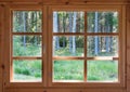 Green sunny view of summer woods in the wooden country window. Royalty Free Stock Photo