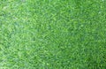 Green surface of grass background, green sward wallpaper