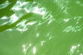 Green surface of water in swimming pool with gentle ripples. Royalty Free Stock Photo