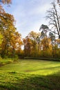 Green swamp inside the forest. Beautiful and warm autumn Royalty Free Stock Photo