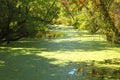 Green Swamp at Raritan Canal