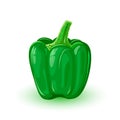 Green sweet bell pepper. Fresh capsicum using as ingredient for salads, pizza, cheese steaks,