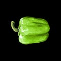 green sweet bell pepper watercolor illustration on black back Royalty Free Stock Photo