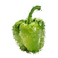 Green sweet pepper of blots