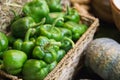 Green sweet pepper Royalty Free Stock Photo