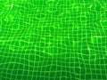 Green swimming pool water with tiles and palm tree shadow Royalty Free Stock Photo