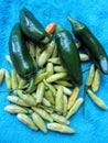 Green Tabasco and Jalapeno Peppers Freshly Harvested Royalty Free Stock Photo