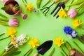 Green table with gardening tools, seedling of spring flowers and butterflies top view. Beautiful nature springtime background