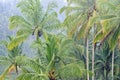 Tall coconut trees in the rain Royalty Free Stock Photo