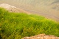 Green Tall Grass On Shore