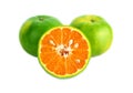 Green tangerine isolated on white background. Royalty Free Stock Photo
