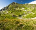 Green tarn wirth flowers panorama Royalty Free Stock Photo