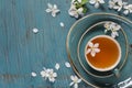 Green tea and apple-tree flowers Royalty Free Stock Photo