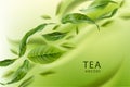 Green tea background. Tea leaves wiggle in the air. Tea leaves in motion.