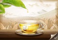 Green tea bag ads Royalty Free Stock Photo